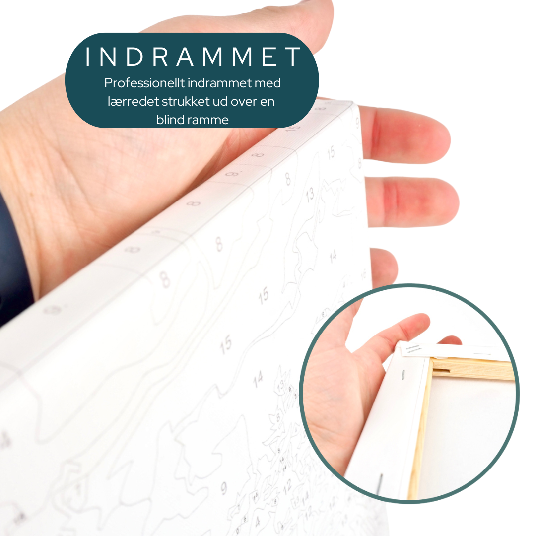 Paint By Number eget billede med hurtig levering
