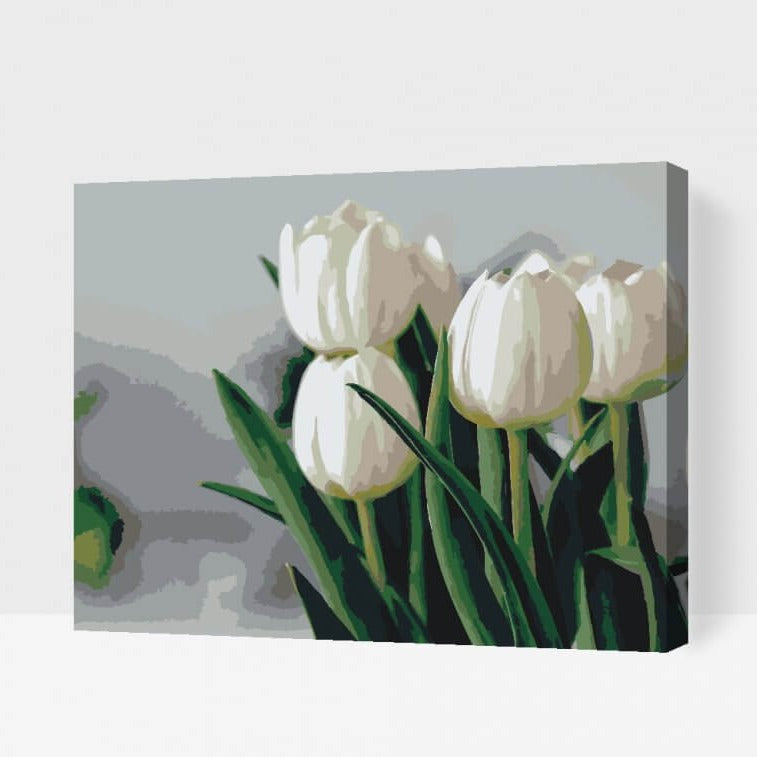 HVIDE TULIPANER