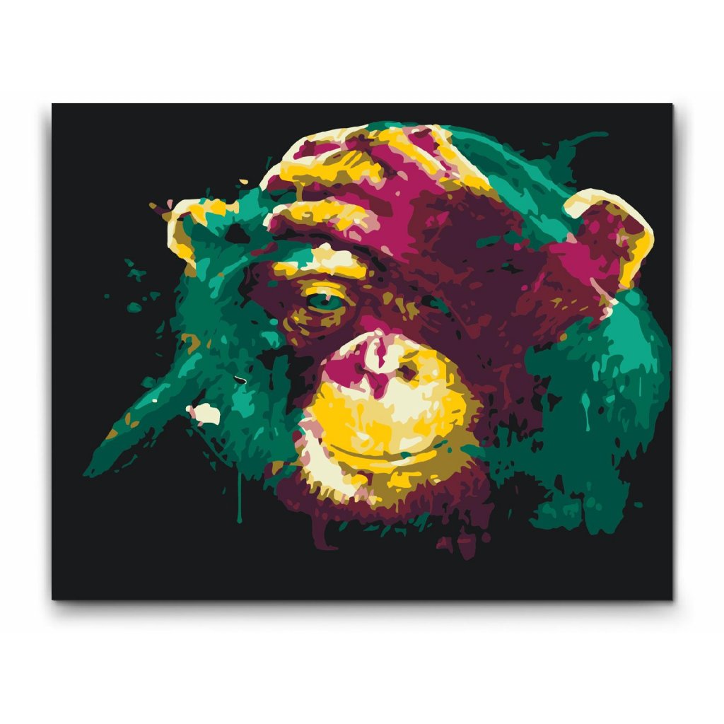 Paint By numbers - Darwin Monkey med dobbelt maling og gratis levering