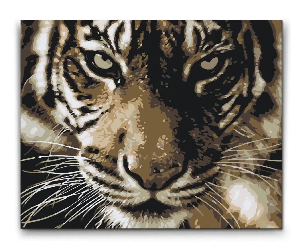 Paint By Numbers med en Tiger | Premium Kvalitet